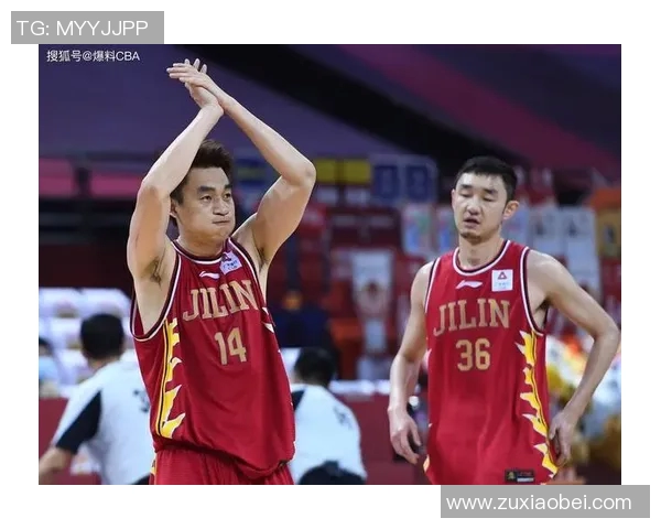 CBA外援融入评估研究探讨及其对球队表现的影响分析