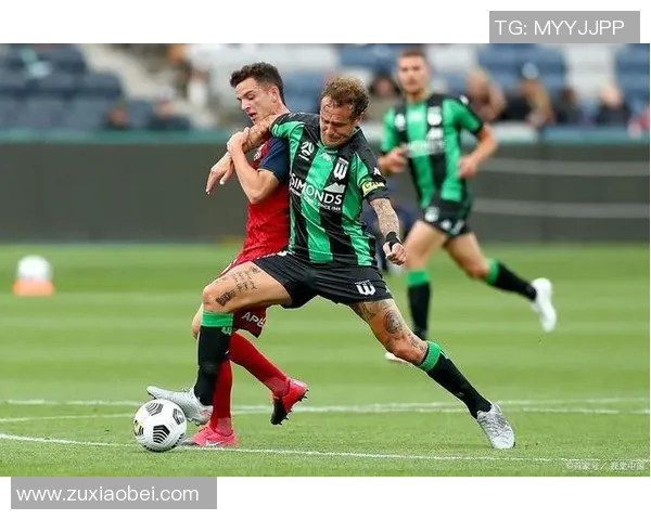 霍芬海姆官方宣布签下新外援，实力加强阵容实力再添新成员！